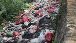 Tumpukan Sampah di Pamulang Picu Bau Tak Sedap