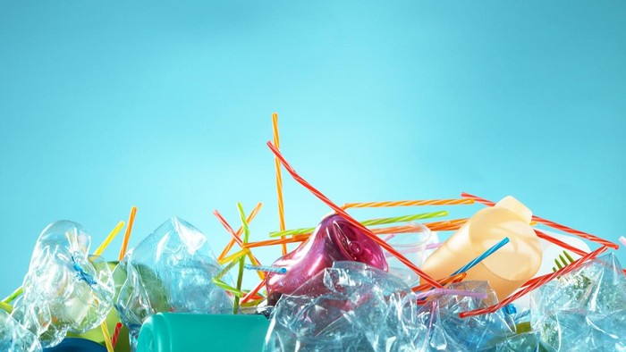 Langkah Terakhir Menuju ILBI yang Mengikat Secara Internasional