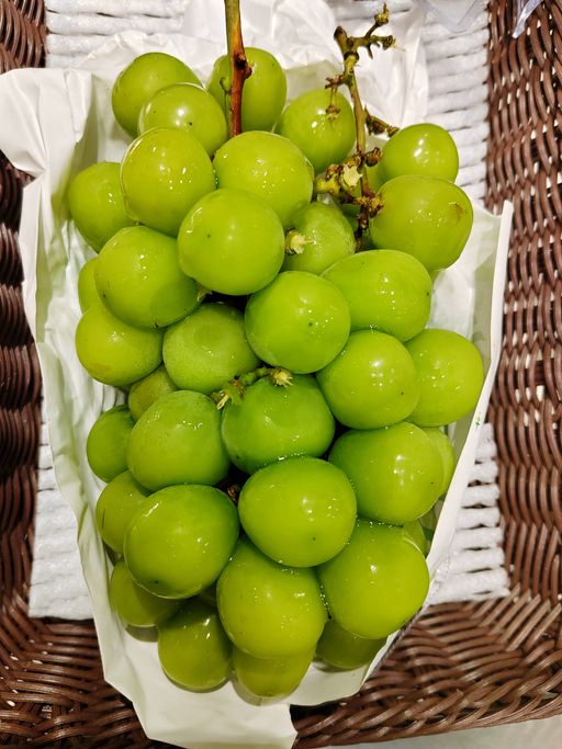 Anggur muscat