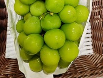 Video: Jawaban Badan Karantina soal Pengawasan Impor Anggur Shine Muscat