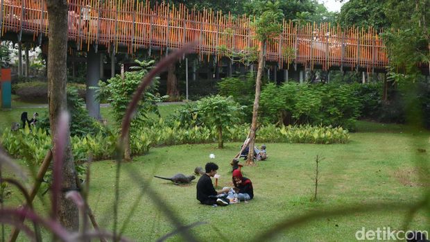 Kawasan Tebet Eco Park di Jakarta Selatan menjadi destinasi favorit warga untuk bersantai dan berolahraga setiap hari. Dengan akses gratis, taman ini ramai dikunjungi masyarakat.