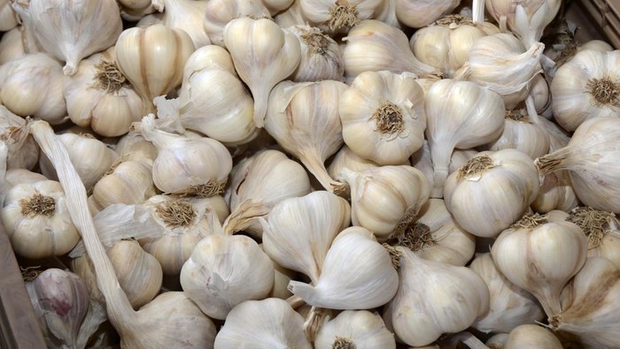 Bawang putih