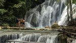 Indahnya Air Terjun Piala di Kabupaten Banggai