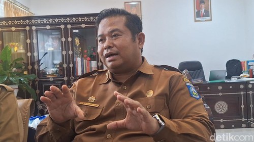 Kepala Dinas Kesehatan (Dinkes) NTB Lalu Hamzi Fikri saat diwawancarai di Kantor Dinkes NTB di Mataram, Selasa (29/10/2024). (Foto: Nathea Citra/detikBali)
