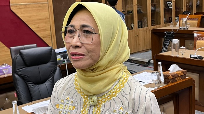 Ketua Komisi X DPR RI Hetifah Sjaifudian (Rifka/detikcom)