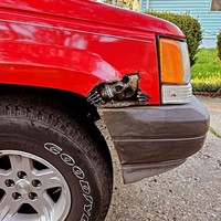 Pasti kamu pernah dengar bahwa setiap masalah ada jalan keluarnya. Walaupun solusinya sedikit aneh... gapapa, deh!