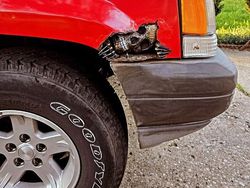 Kumpulan Solusi Absurd dari Berbagai Masalah, Kok Kepikiran