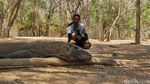 Mengamati Komodo Langsung dari Habitatnya