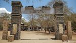 Mengamati Komodo Langsung dari Habitatnya