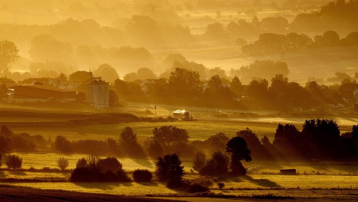 A regional train travels through fields in Wehrtheim, Germany, Aug. 6, 2024. (AP Photo/Michael Probst, File)