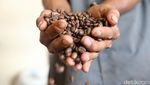 Nikmatnya Kopi Bis Kota Legendaris di Jatinegara