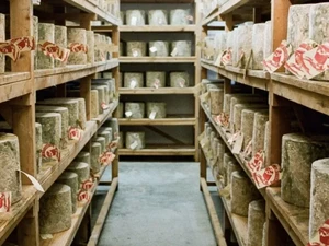 Kacau! 5 Kasus Pencurian Makanan Terbesar Ini Bikin Gempar Dunia Kuliner