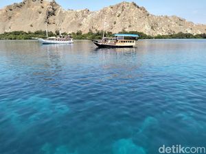 Tarif Mancing di TN Komodo Naik dari Rp 25 Ribu Jadi Rp 5 Juta per Orang