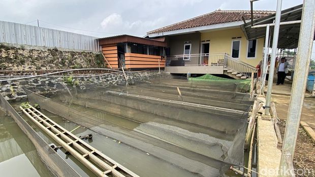 Petani ikan di Sukabumi.