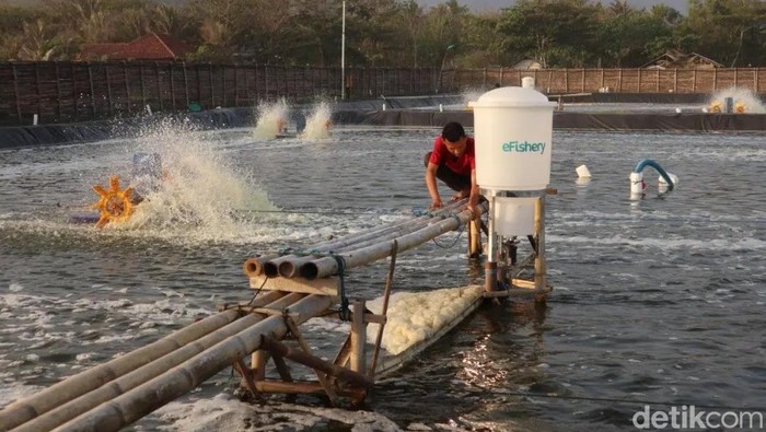 Petani ikan di Sukabumi.