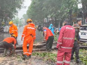 Hujan Angin Tumbangkan Pohon Timpa Mobil dan Motor di Bondowoso