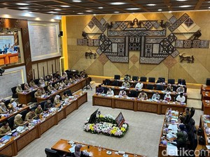 Anggota Komisi IX DPR Sentil BPOM soal Anggur Muscat: Katanya Itu Berbahaya