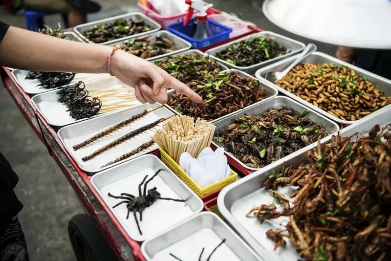 Selain Buaya, Ini 7 Makanan Ekstrem Thailand yang Menyeramkan