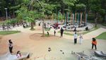Melihat Serunya Anak-anak Bermain di Tebet Eco Park