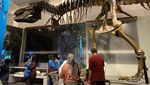 Ide Weekend di Bandung: Melihat Ragam Fosil di Museum Geologi