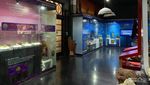 Ide Weekend di Bandung: Melihat Ragam Fosil di Museum Geologi