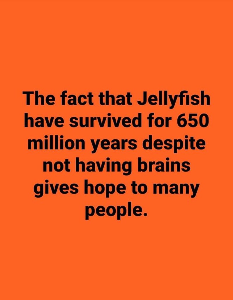 Kumpulan meme berikut mengungkap sisi lain dari ilmu sains. Ada yang dark joke juga.