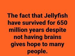 10 Meme soal Sisi Lain Ilmu Sains, Agak Gelap Ya