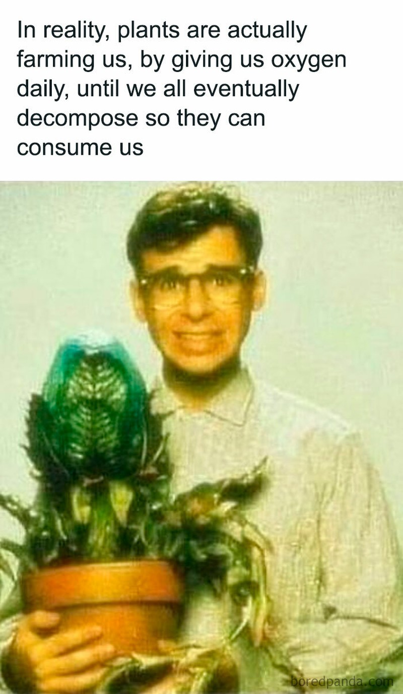 Kumpulan meme berikut mengungkap sisi lain dari ilmu sains. Ada yang dark joke juga.