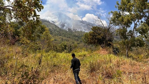 BPBD bersama instansi terkait lainnya saat melakukan pemantauan kebakaran hutan lereng Gunung Agung, Rabu (30/10/2024) (dok. BPBD Karangasem)