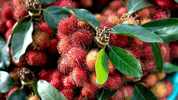 Buah rambutan