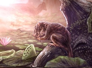 Mamalia Purba Ini Pernah Hidup di Zaman Dinosaurus, Begini Pentingnya