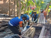 Misteri Pembunuhan Perempuan Terbungkus Kresek yang Gegerkan Krian