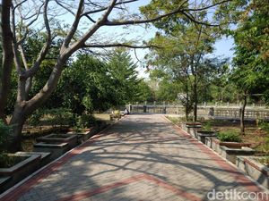 Menikmati Sejuknya Hutan Kota Sumber di Tengah Panasnya Cuaca Cirebon