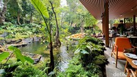 The Waterfall Resto berlokasi di area wisata edukasi Godong Ijo. Restoran di Jl. Cinangka Raya No. KM 10 No. 60, Bojongsari, Depok ini viral karena pemandangan air terjun buatan yang asri dan cantik.