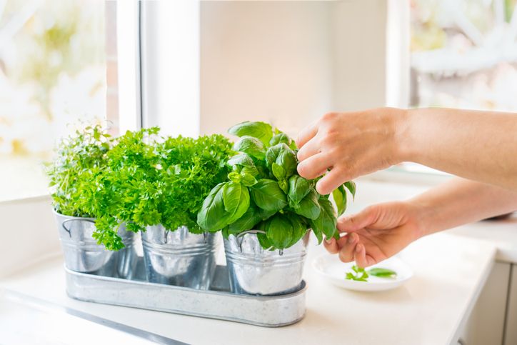 5 Tips Mengatur Dapur Menurut Feng Shui, Bikin Rapi dan Nyaman