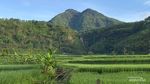 Desa Jangkurang, Alam Garut Bak Negeri Dongeng
