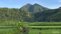 Pemandangan Desa Jangkurang di Garut.