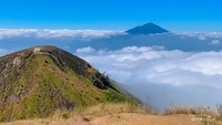 pemandangan dipuncak gunung guntur