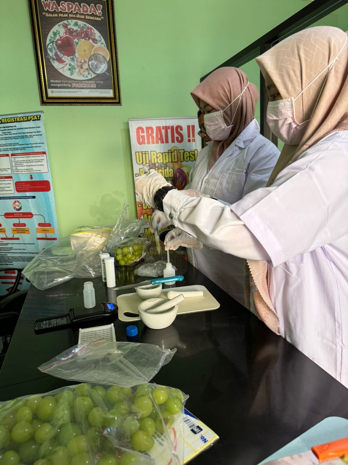 Bapanas rapid test anggur Shine Muscat. (Bapanas)