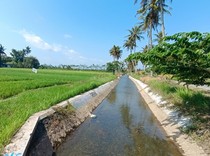 Kenapa Rumah Harus Dilengkapi Selokan? Ini Jawabannya