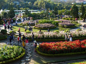 Aturan Baru! Vietnam Pangkas Masa Bebas Visa WNI dari 30 Hari Jadi 14 Hari