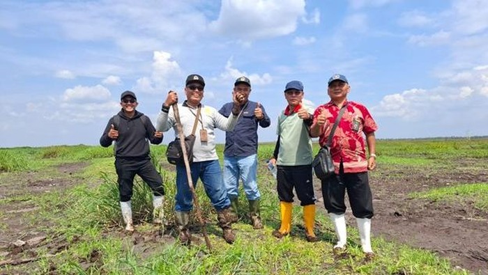 Majelis Hakim PN Palembang saat meninjau lokasi Karhutla di Desa Tulung Selapan, OKI.