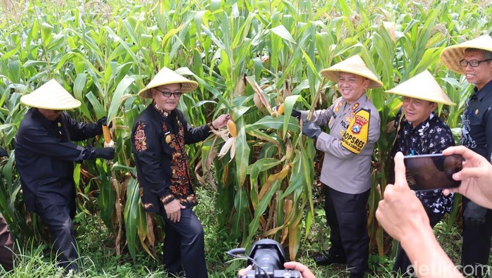 Kapolres dan Pjs Bupati Blitar tinjau Kebun Produksi