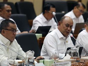 Makan Bergizi Gratis Mulai Januari 2025, Target Awal 3 Juta Anak
