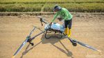 Keren! Petani Subang Gunakan Drone untuk Bunuh Hama Padi