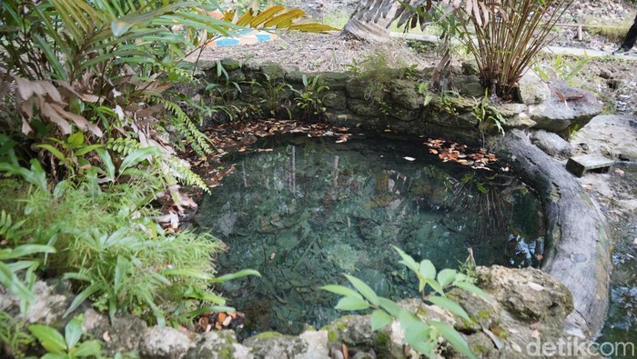 Kolam air panas di Desa Kedungwuluh, Kecamatan Padaherang, Kabupaten Pangandaran