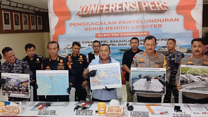 Konferensi pers penggagalan penyelundupan benih lobster di Batam. (Alamudin/detikSumut)