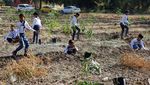 Langkah Irak Melawan Pemanasan Global
