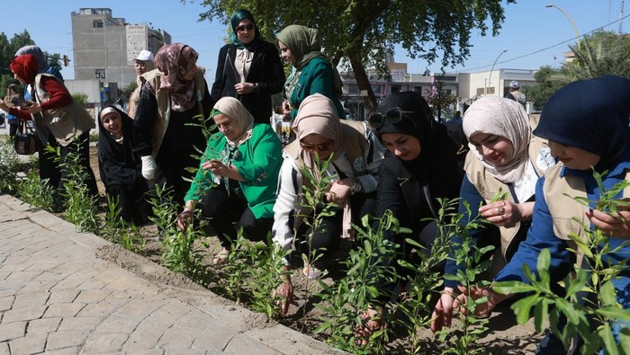 Iraqi volunteers plant saplings during a nationwide tree-planting campaign aimed to fight climate change and global warming that have been the catalyst for desertification in the country, in Baghdad, Iraq October 29, 2024. REUTERS/Ahmed Saad