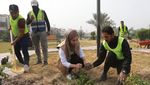Langkah Irak Melawan Pemanasan Global